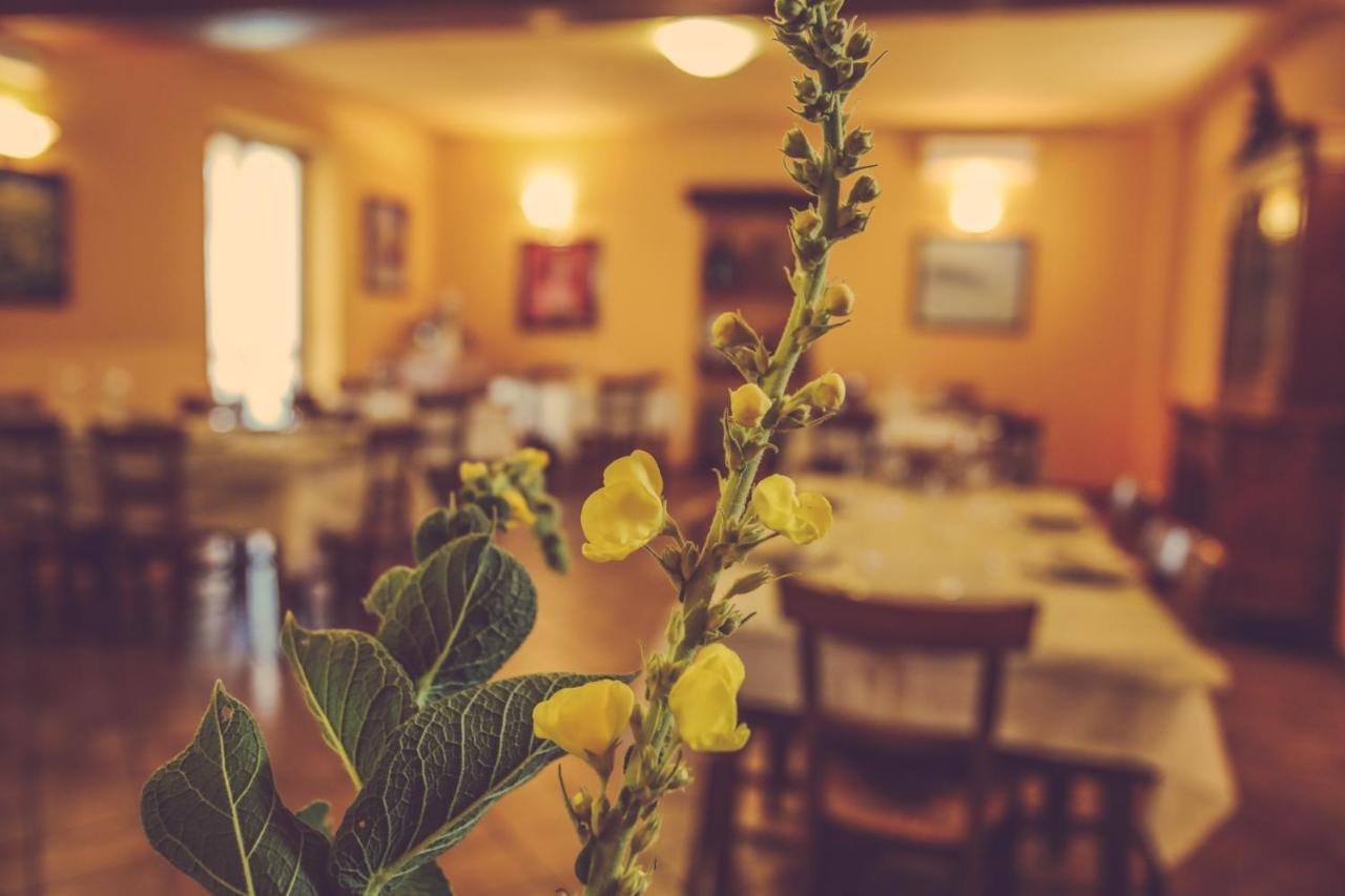 Agriturismo I Suri Asti Zewnętrze zdjęcie