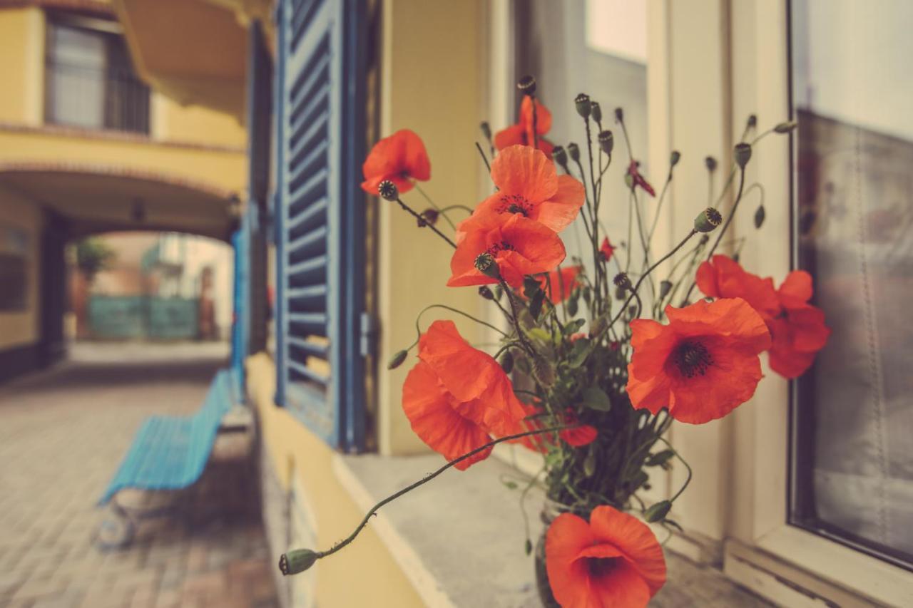 Agriturismo I Suri Asti Zewnętrze zdjęcie